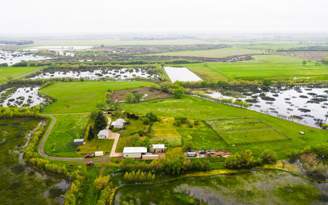 LANCASTER RANCHDISTRICT 10, CA    |    ±312 ACRES(SOLD) $1,000,000