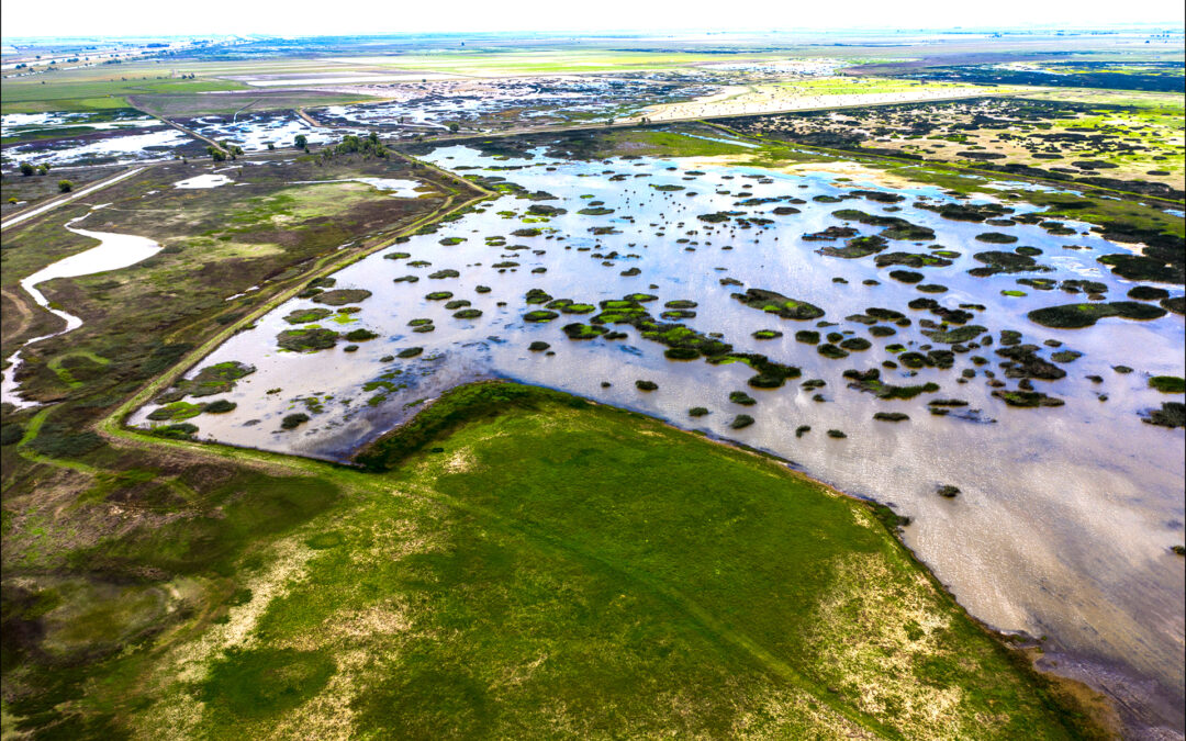 GLIDE IN RANCHYOLO COUNTY, CA    |    ±1,195 ACRES(SOLD) $325,000