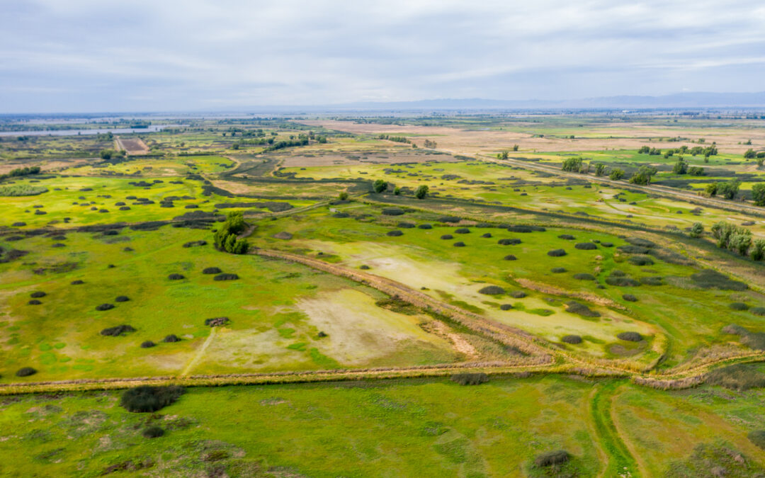 LUCKY 7 DUCK CLUBLAMBERTVILLE CA    |    ± 277 ACRES(SOLD) $600,000