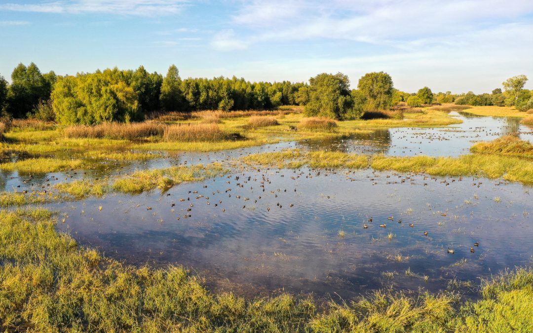 RANCHO RIO CHICO  DURHAM, CA    |    ± 230 ACRES  $325,000